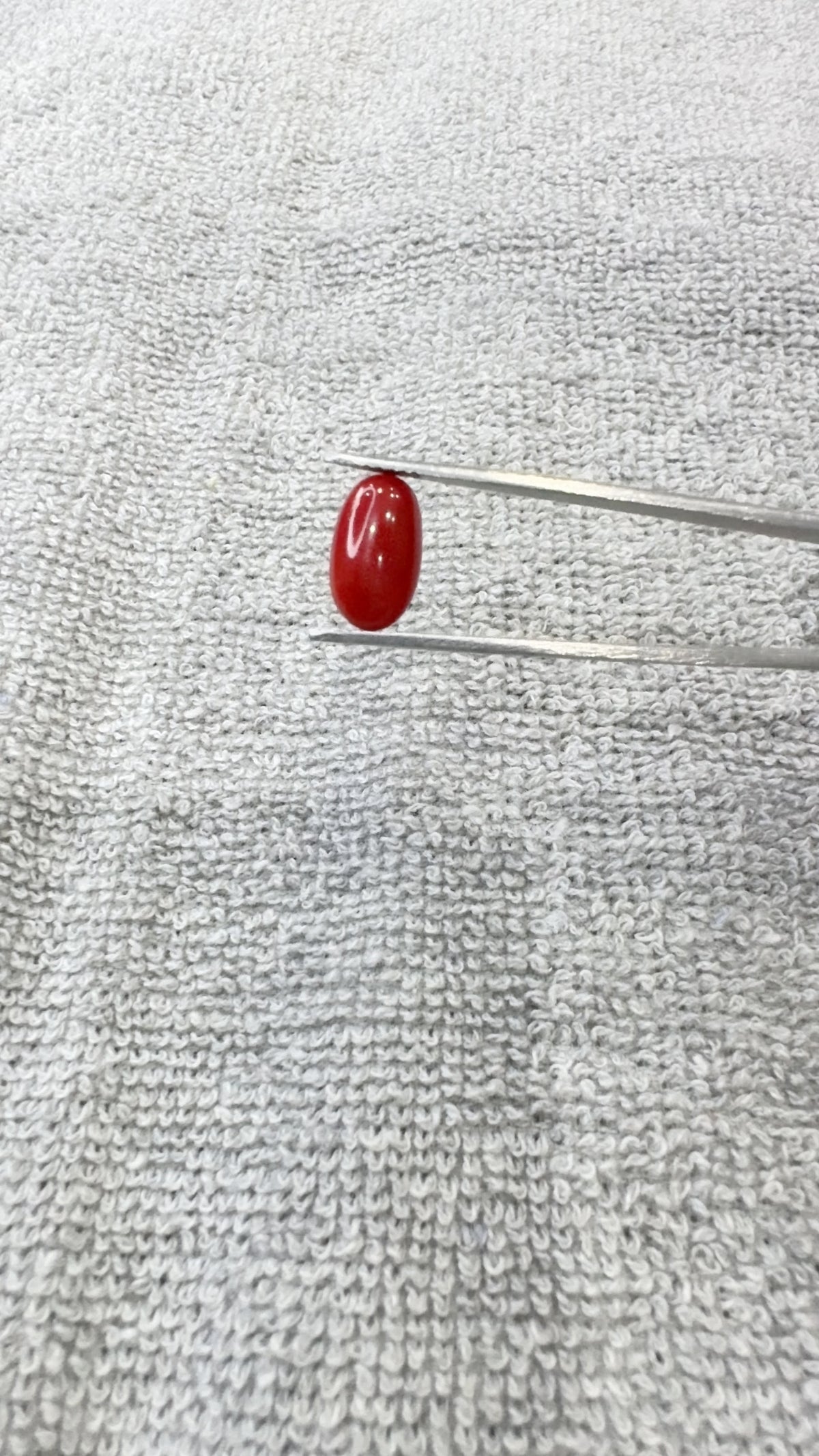 5.45 Carat Certified Natural Italian Coral