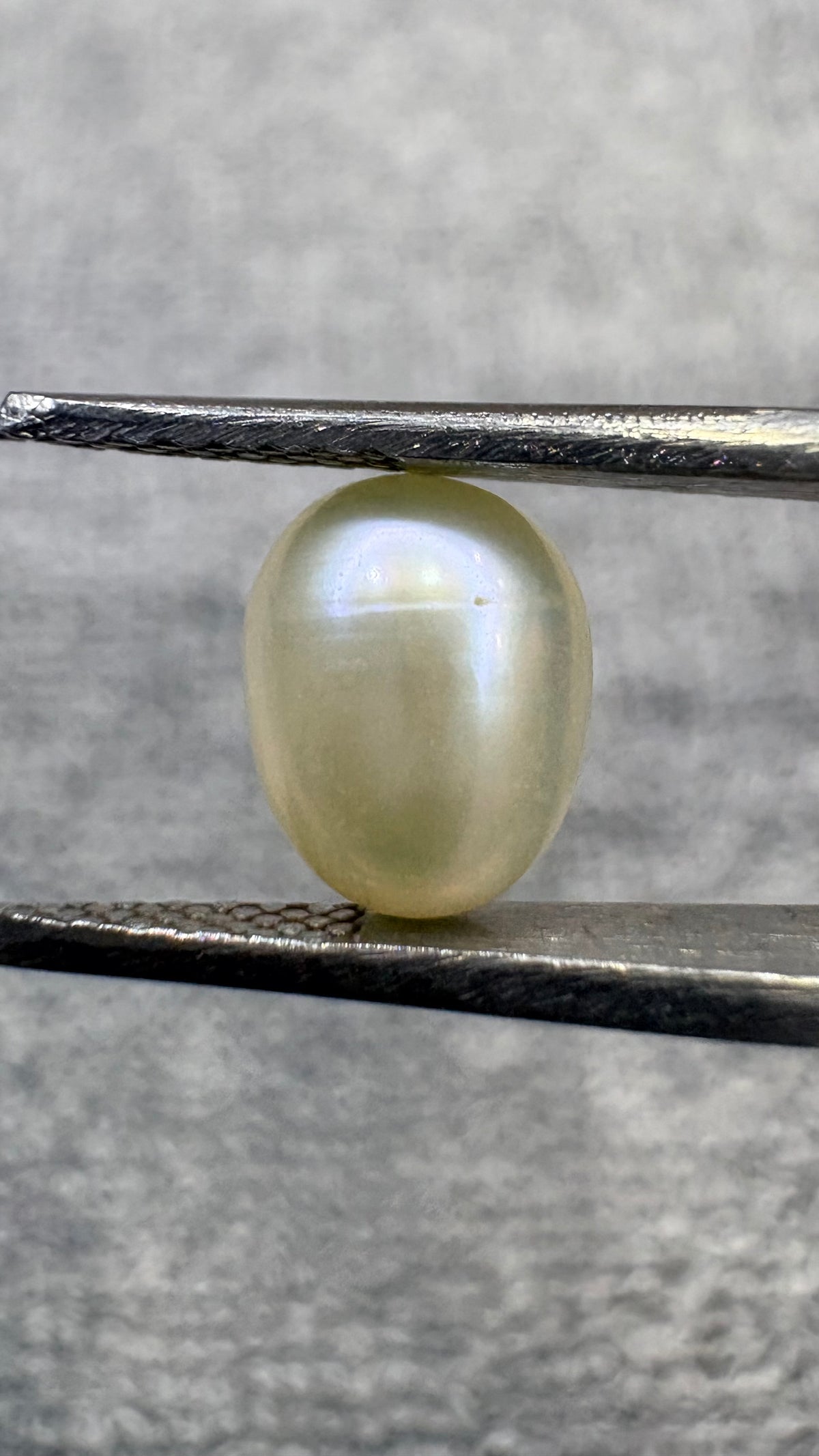 3.10 Carat Certified Natural Moti