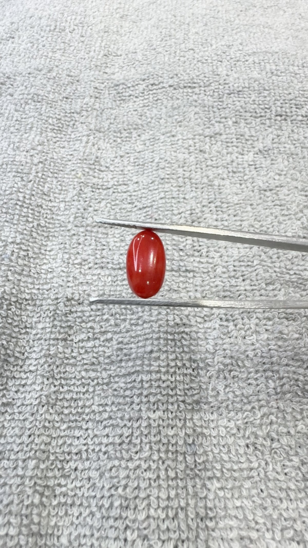 5.80 Carat Certified Natural Italian Coral