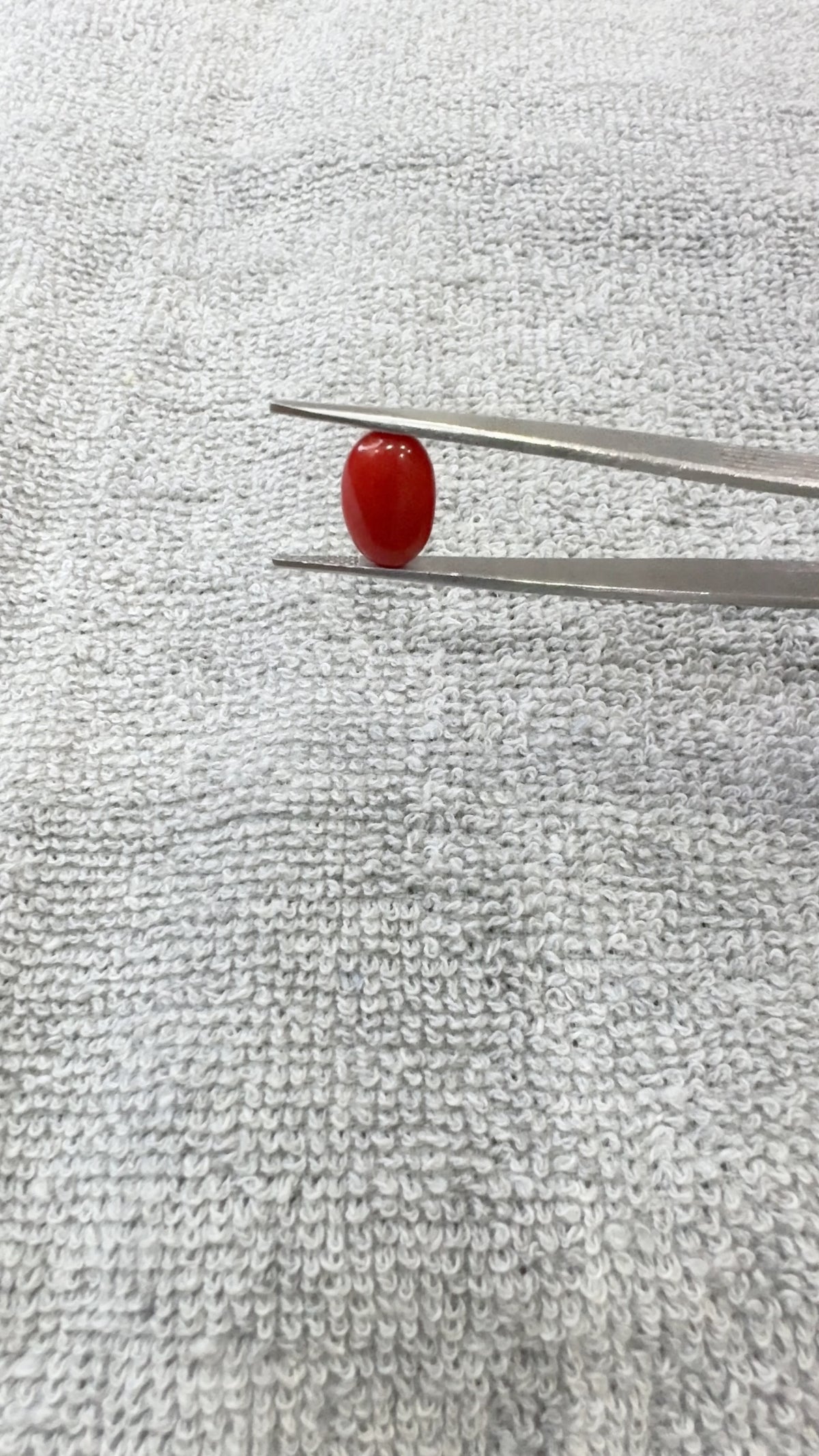 5.75 Carat Certified Natural Italian Coral