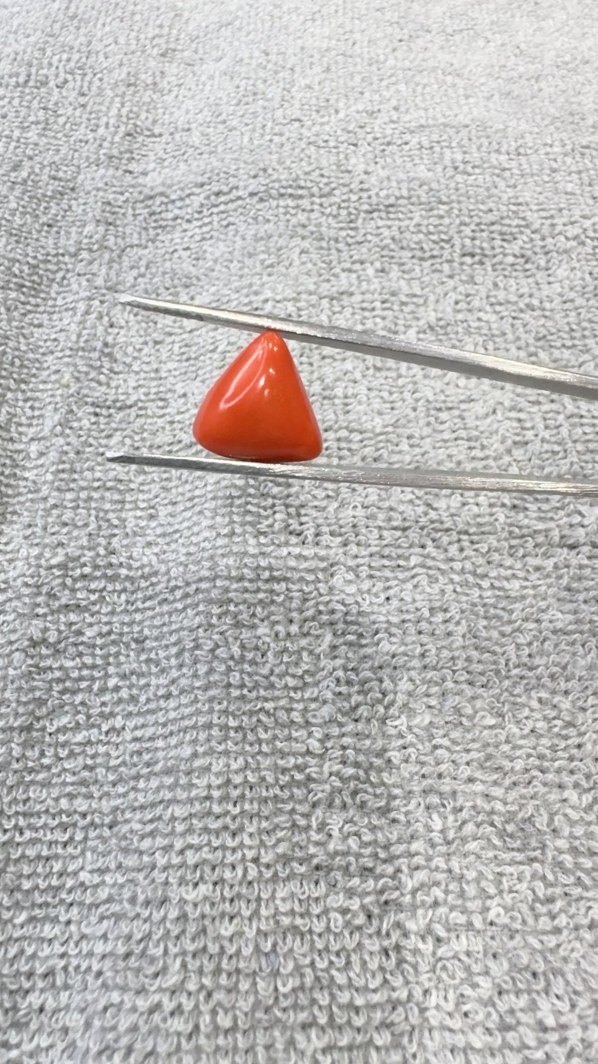 8.15 Carat Certified Natural Italian Coral