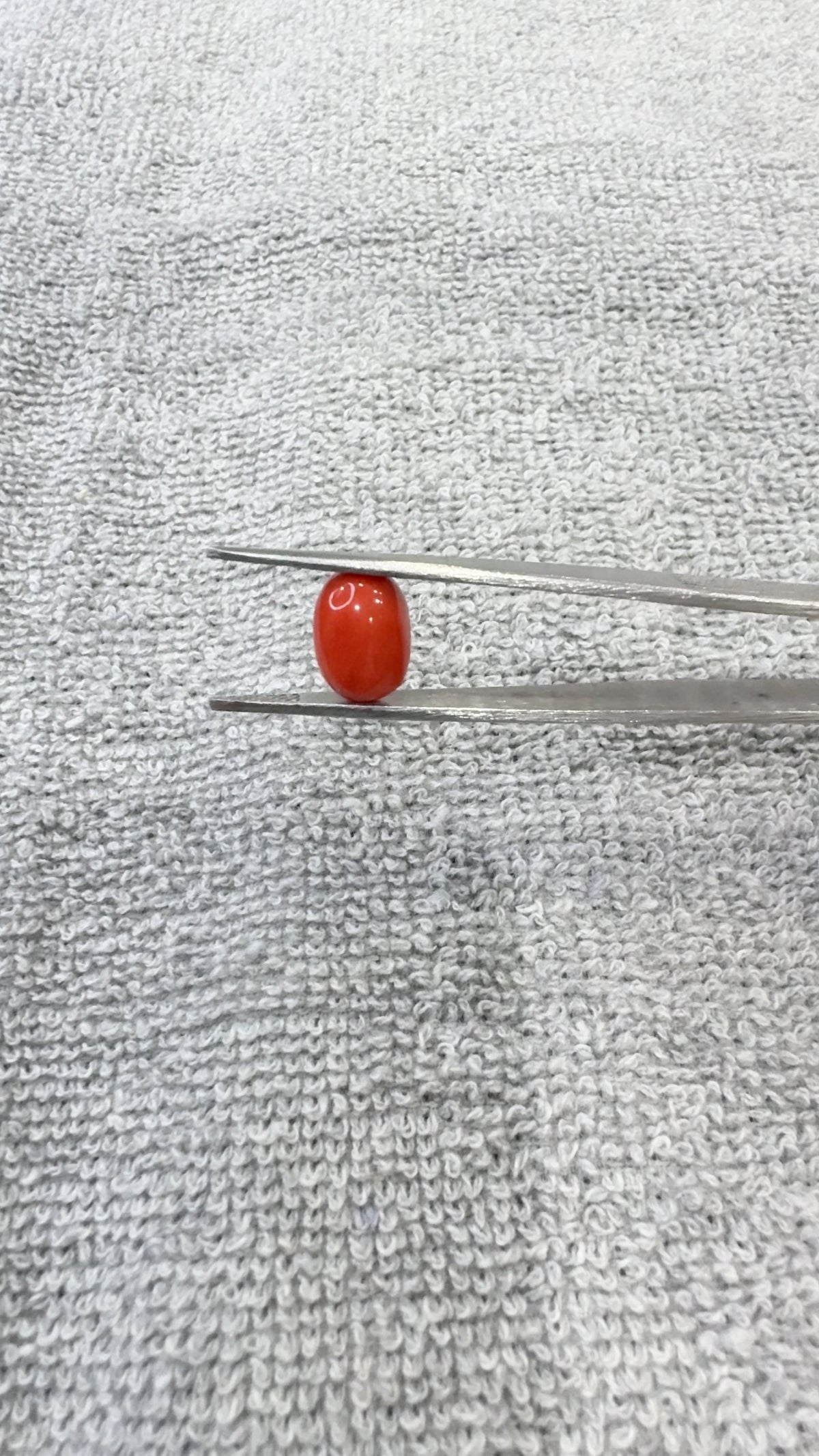 4.53 Carat Certified Natural Italian Coral