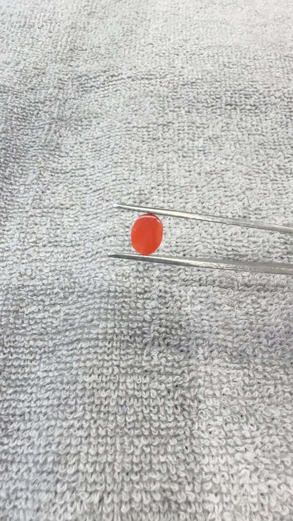 2.00 Carat Certified Natural Italian Coral