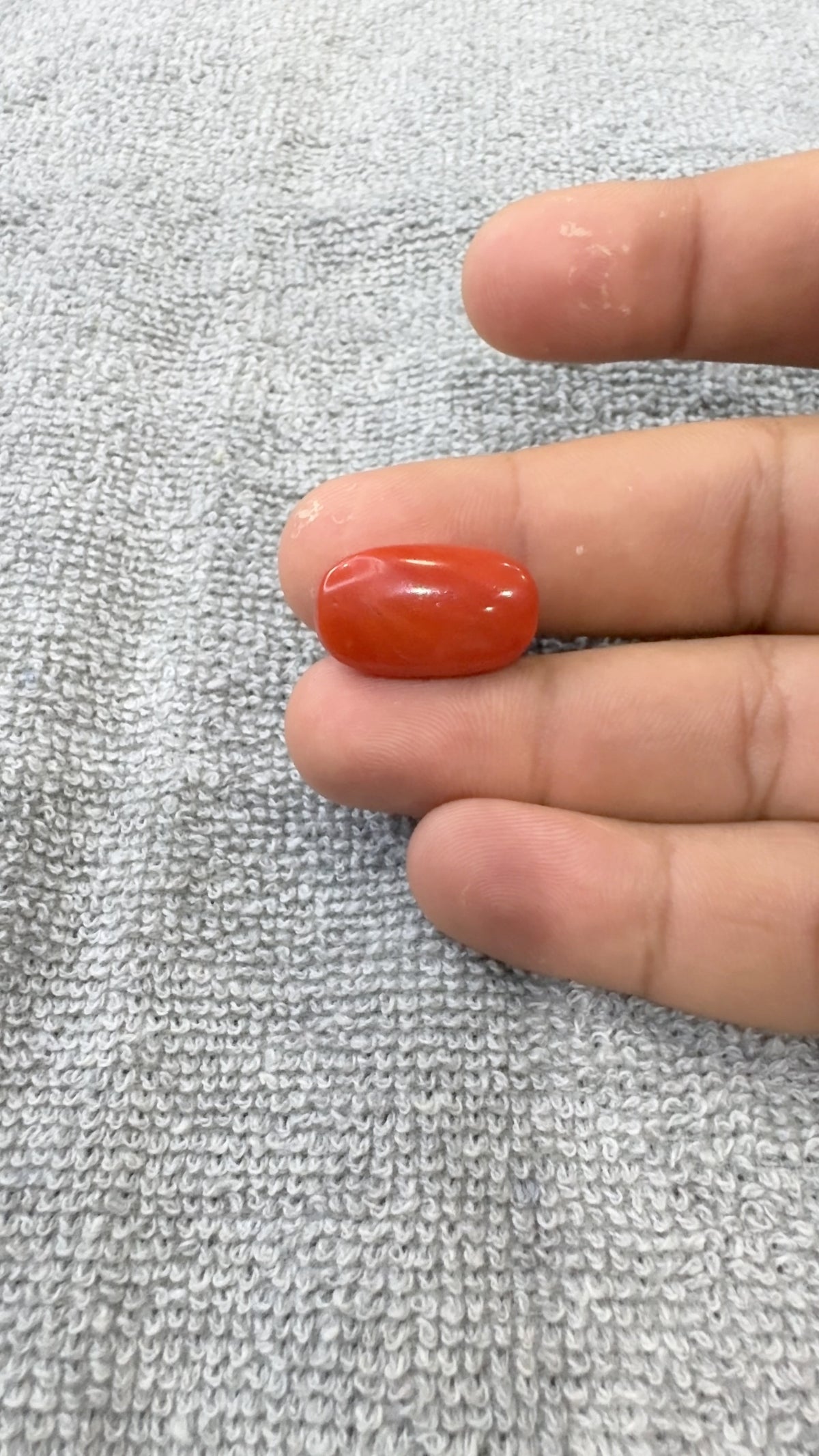 21.28 Carat Certified Natural Italian Coral