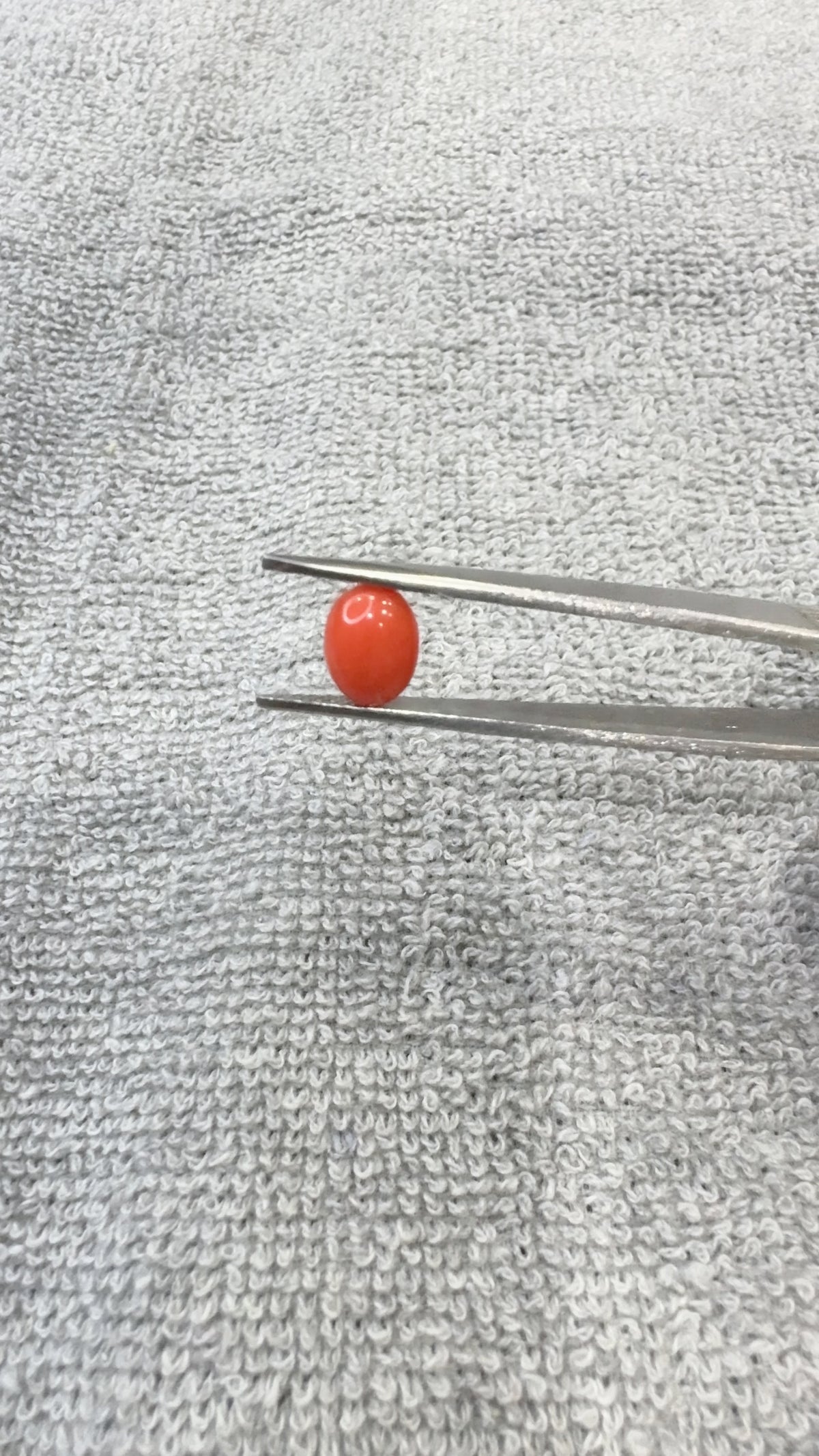 2.00 Carat Certified Natural Italian Coral
