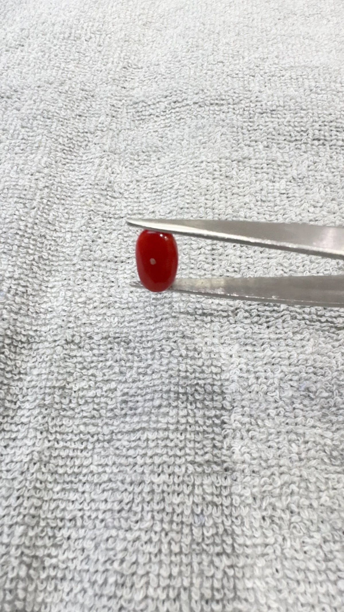 5.45 Carat Certified Natural Italian Coral