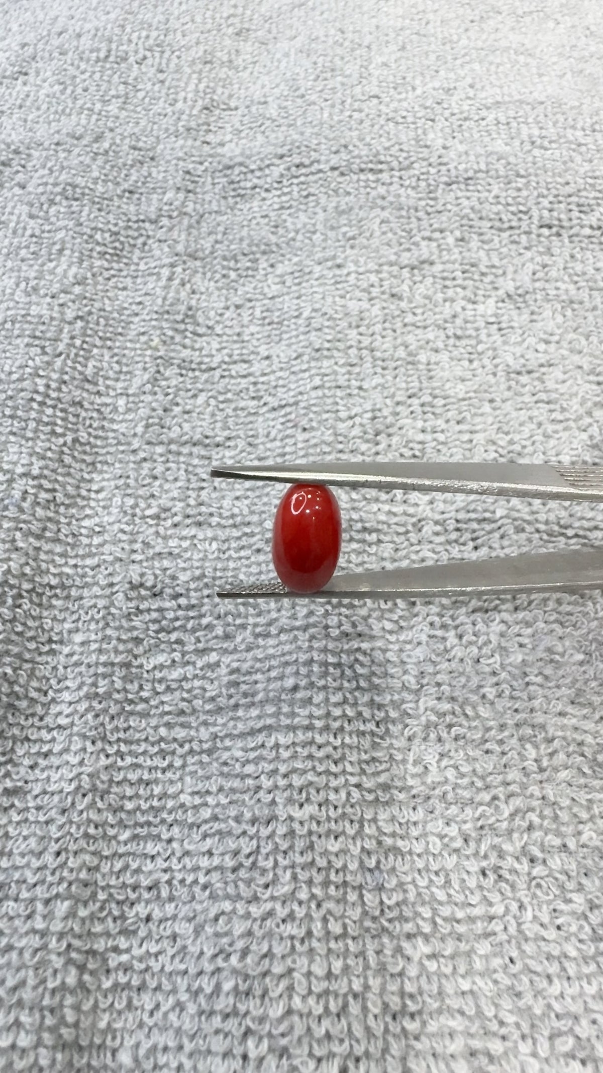 5.80 Carat Certified Natural Italian Coral