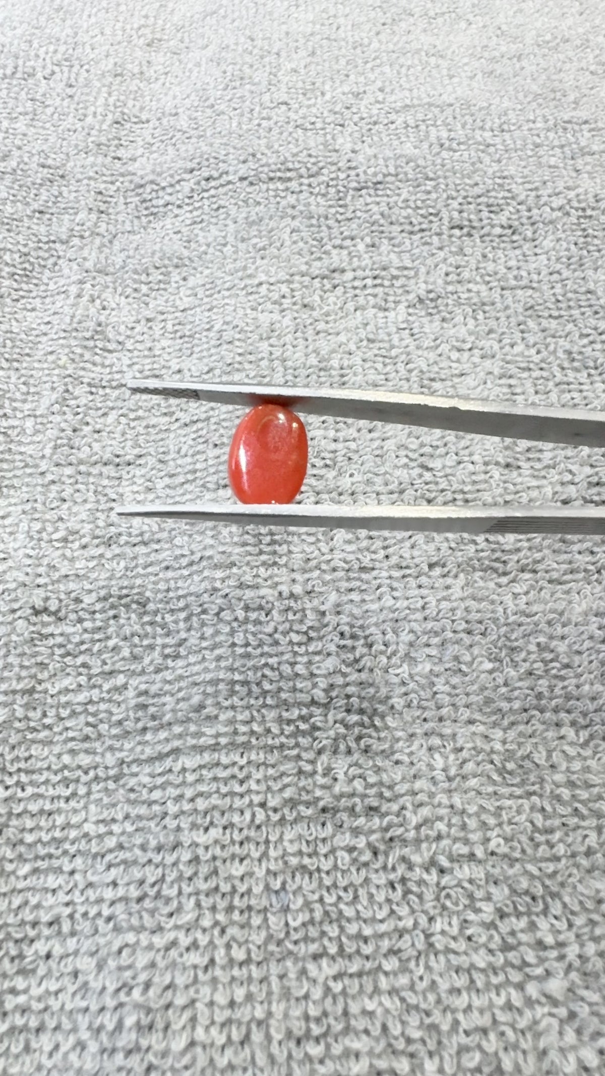 4.53 Carat Certified Natural Italian Coral