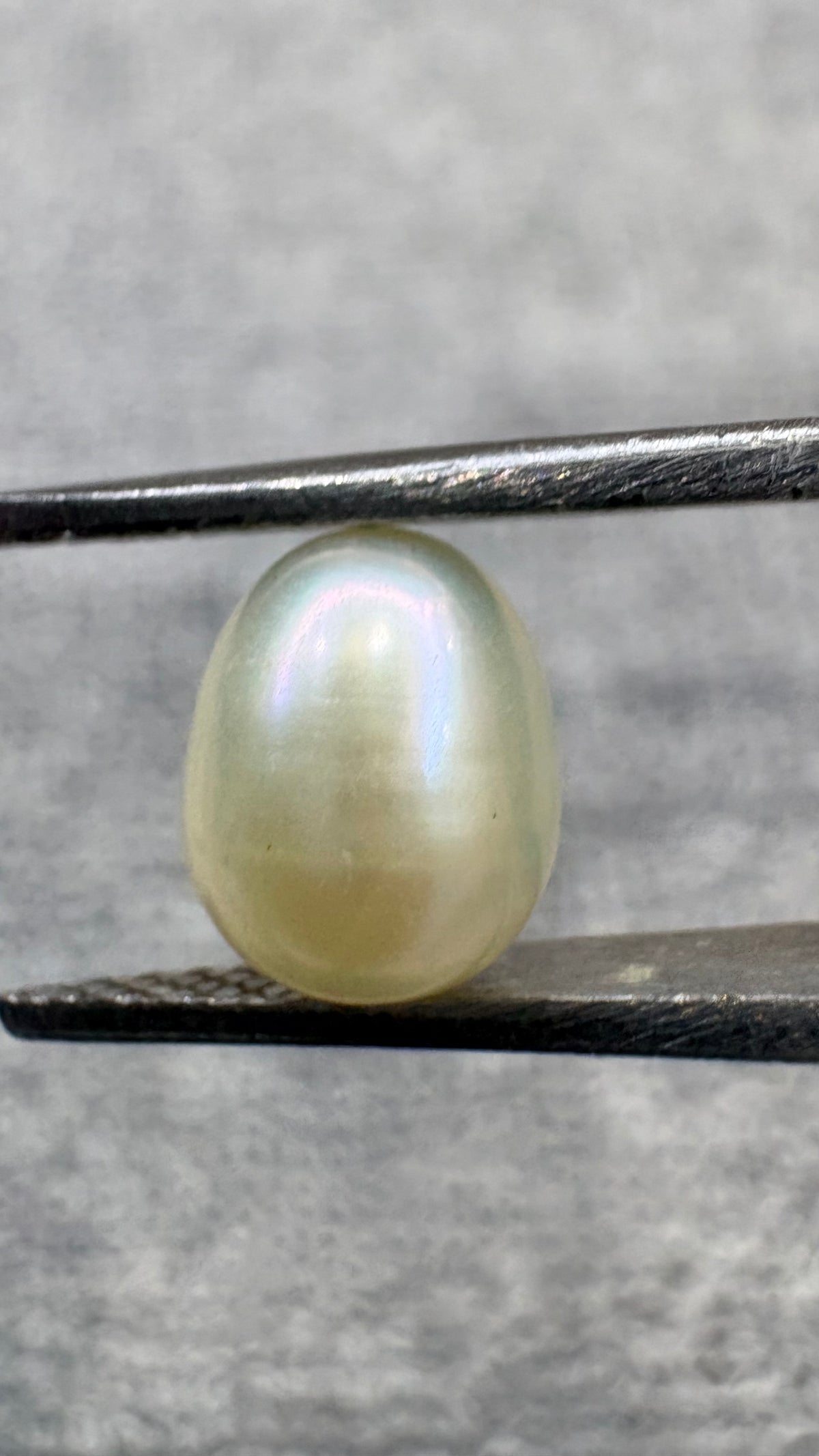 3.10 Carat Certified Natural Moti