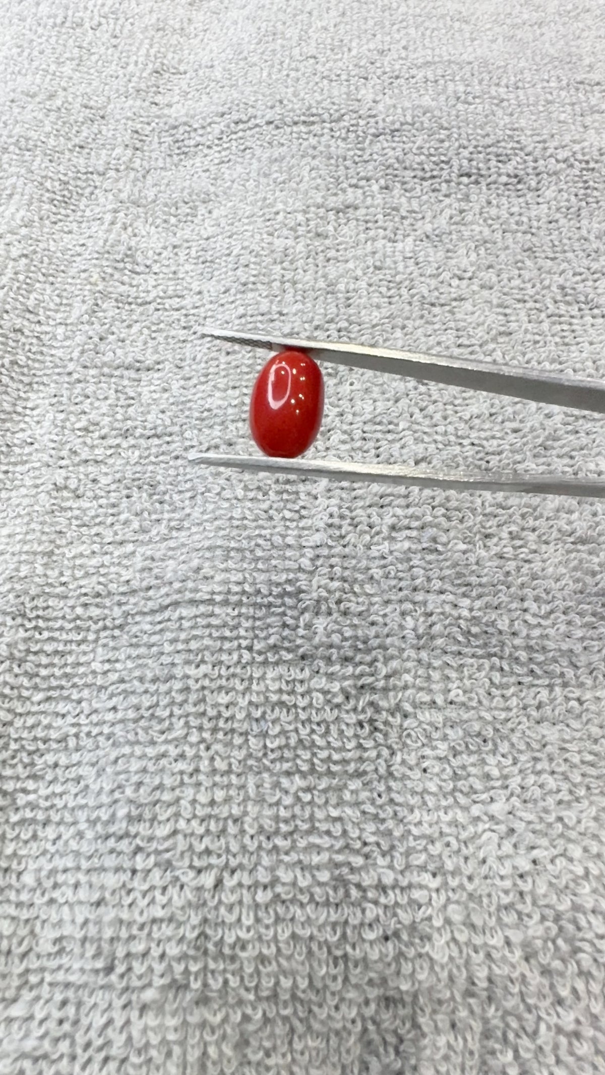 5.75 Carat Certified Natural Italian Coral