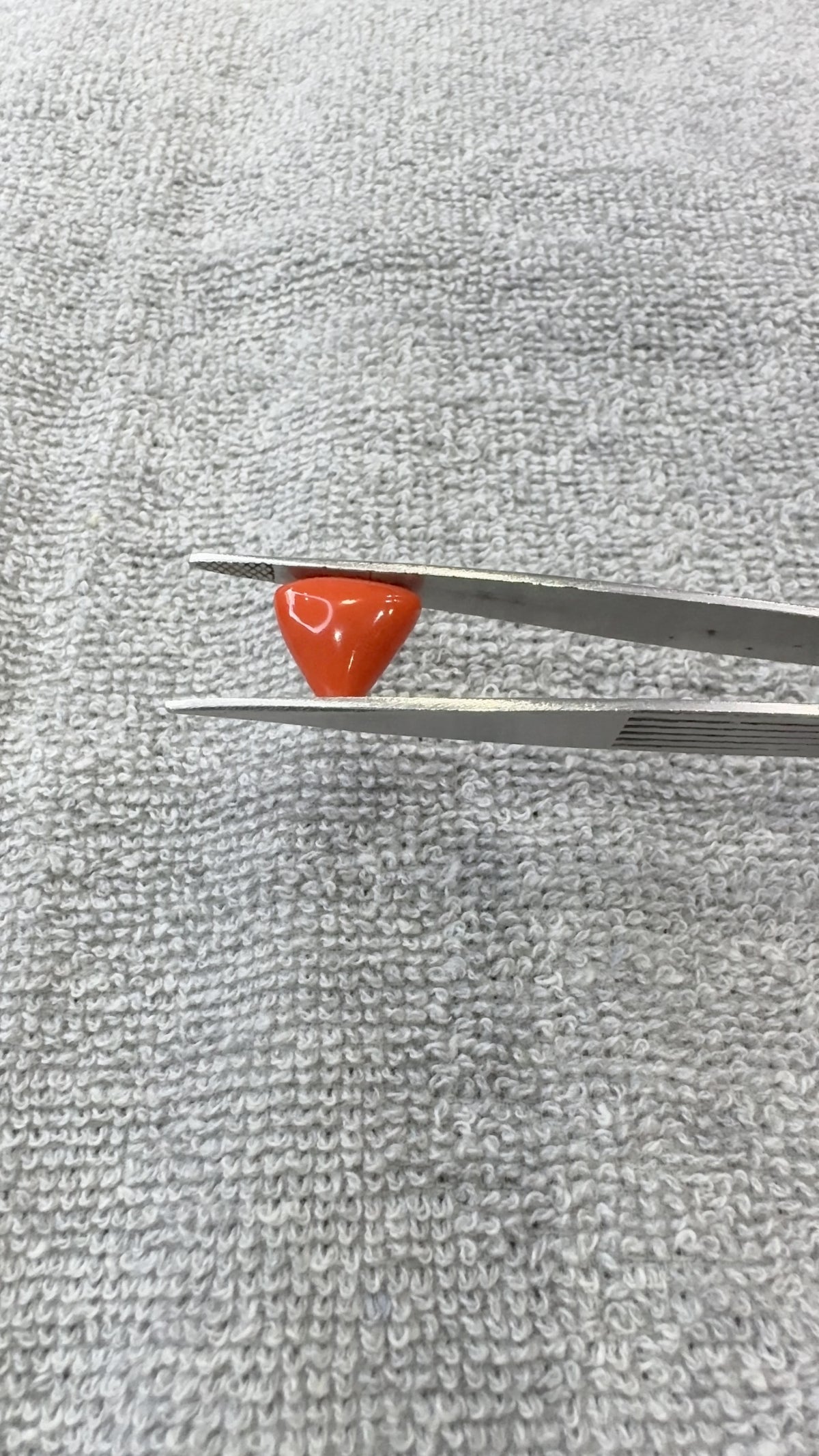 8.15 Carat Certified Natural Italian Coral