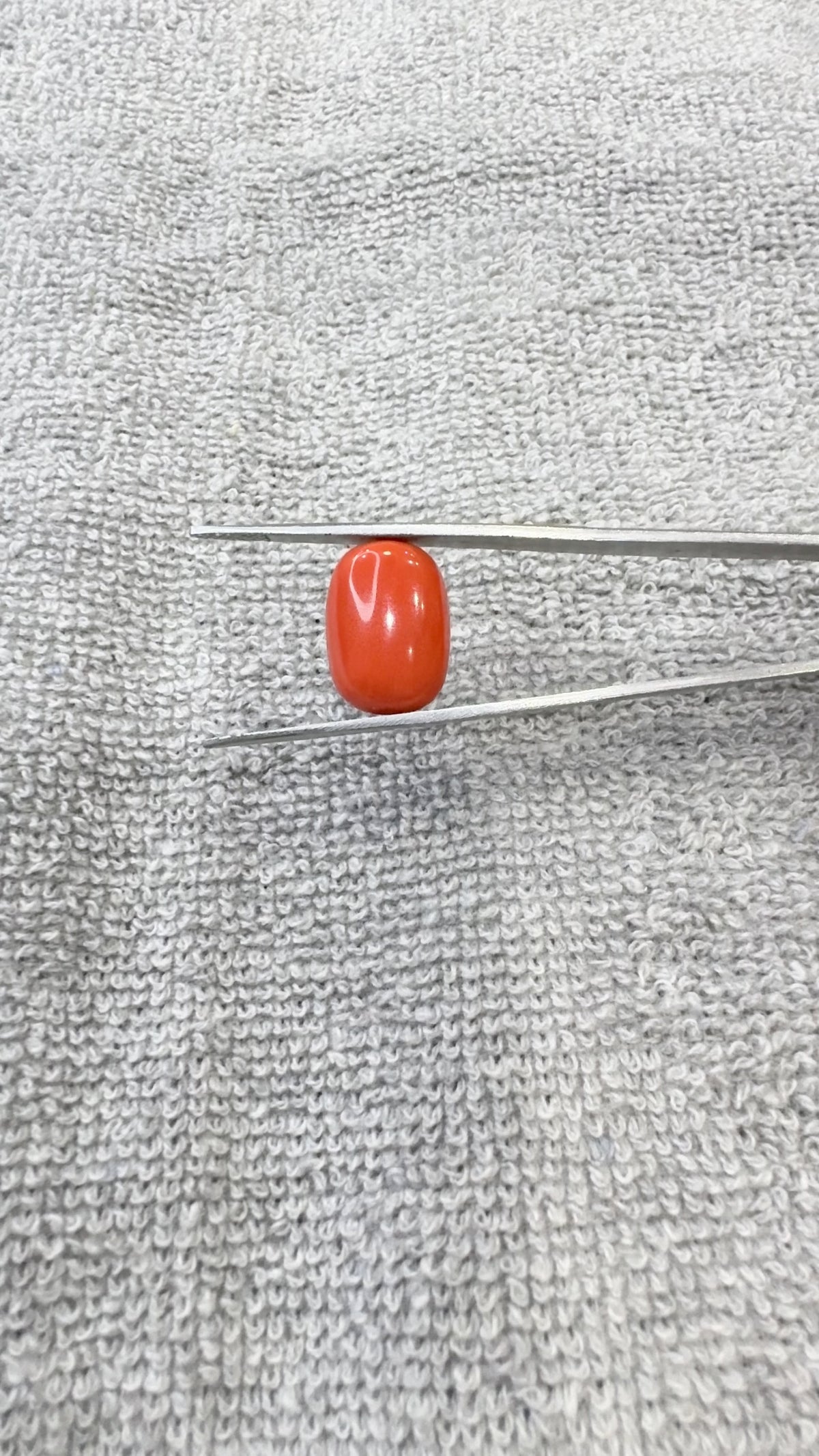 12.64 Carat Certified Natural Italian Coral