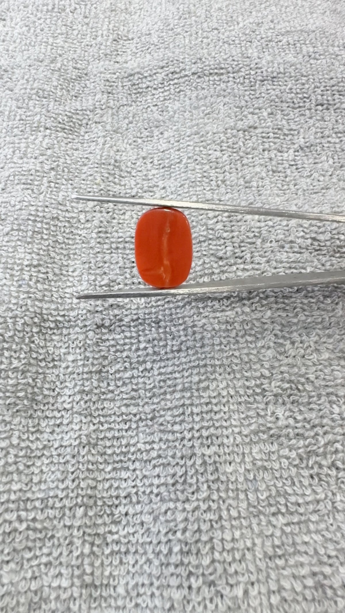 12.64 Carat Certified Natural Italian Coral
