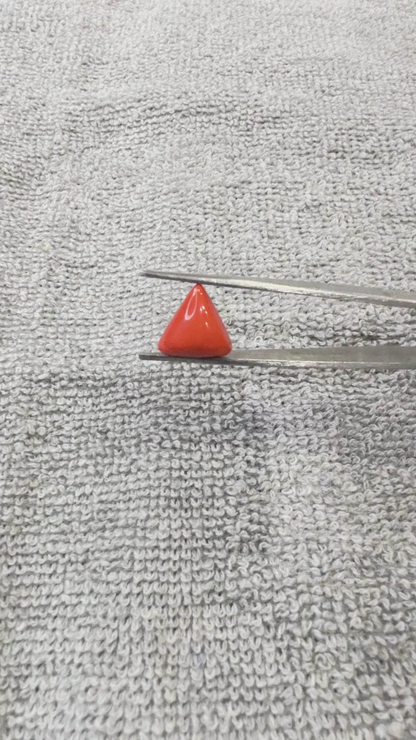 5.60 Carat Certified Natural Italian Coral