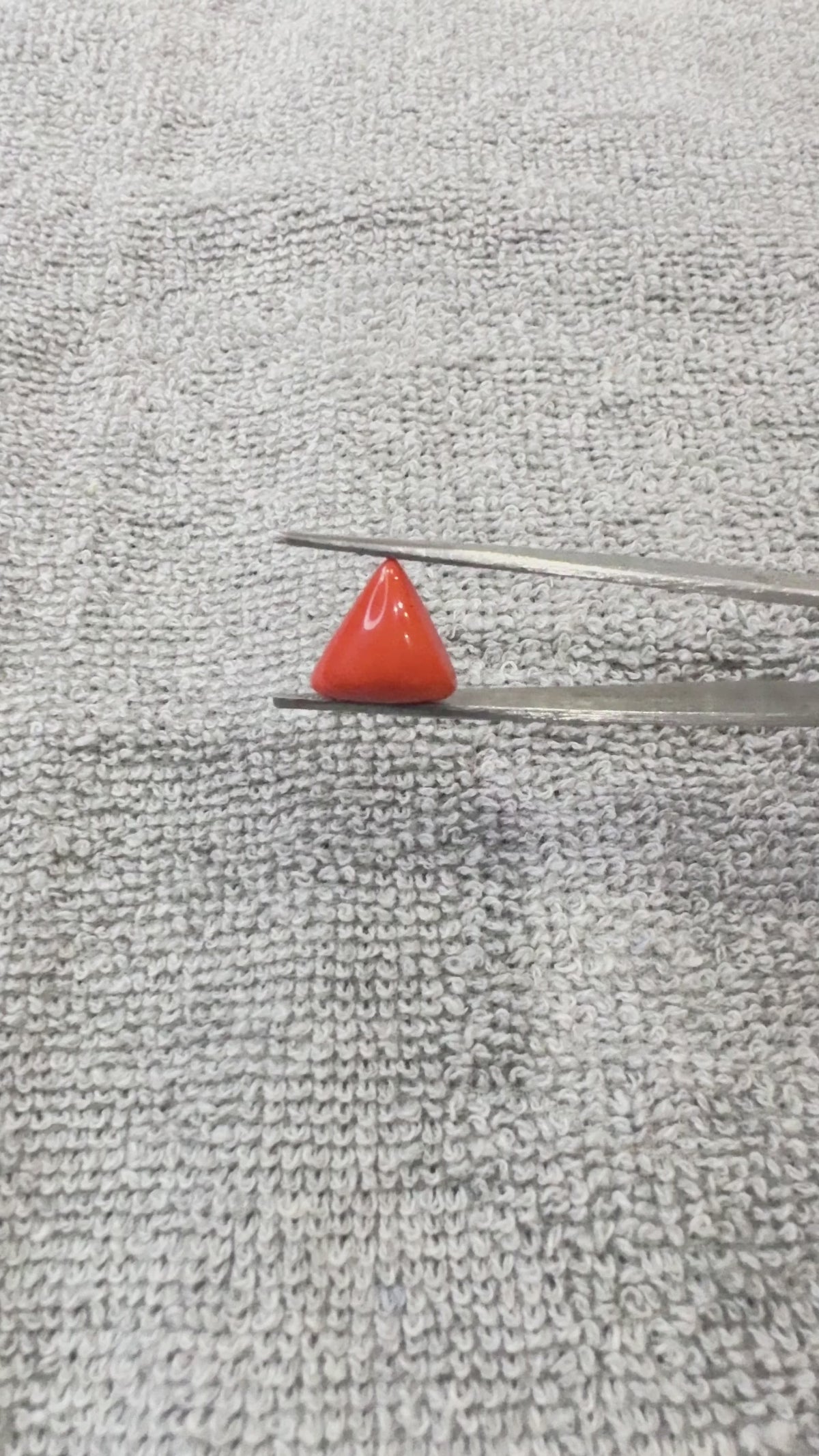 5.60 Carat Certified Natural Italian Coral