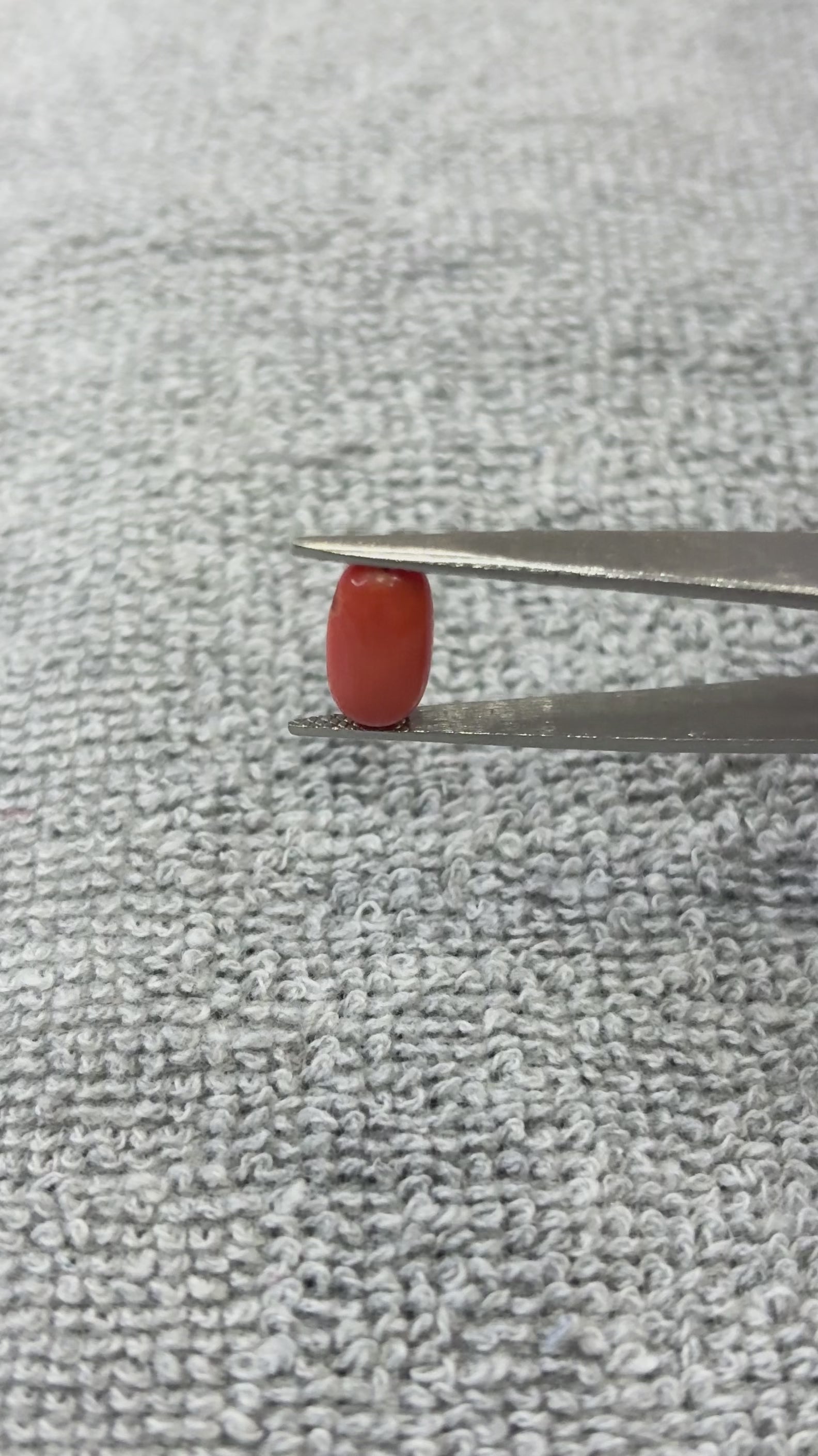 4.36 Carat Certified Natural Italian Coral