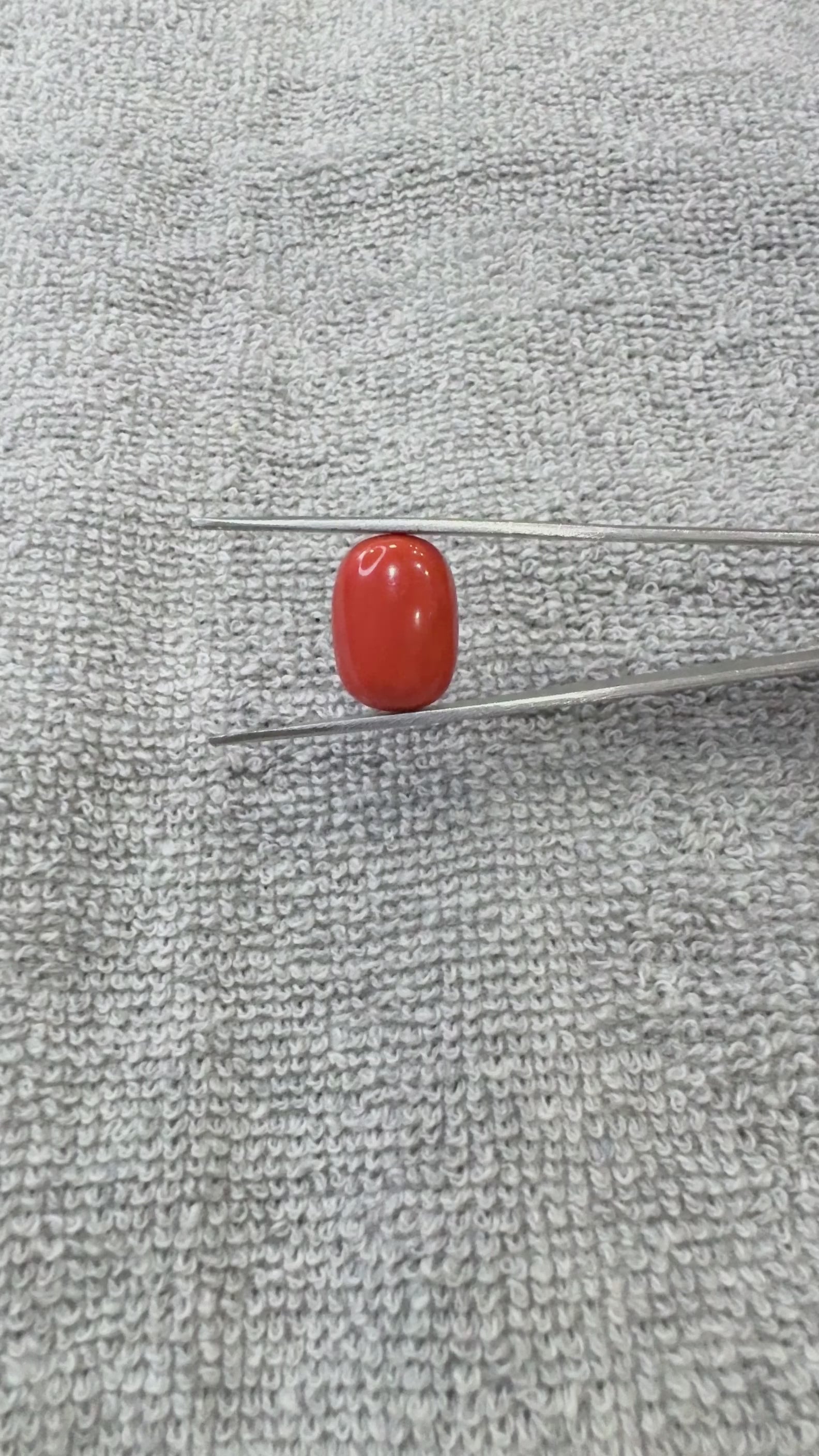 12.64 Carat Certified Natural Italian Coral