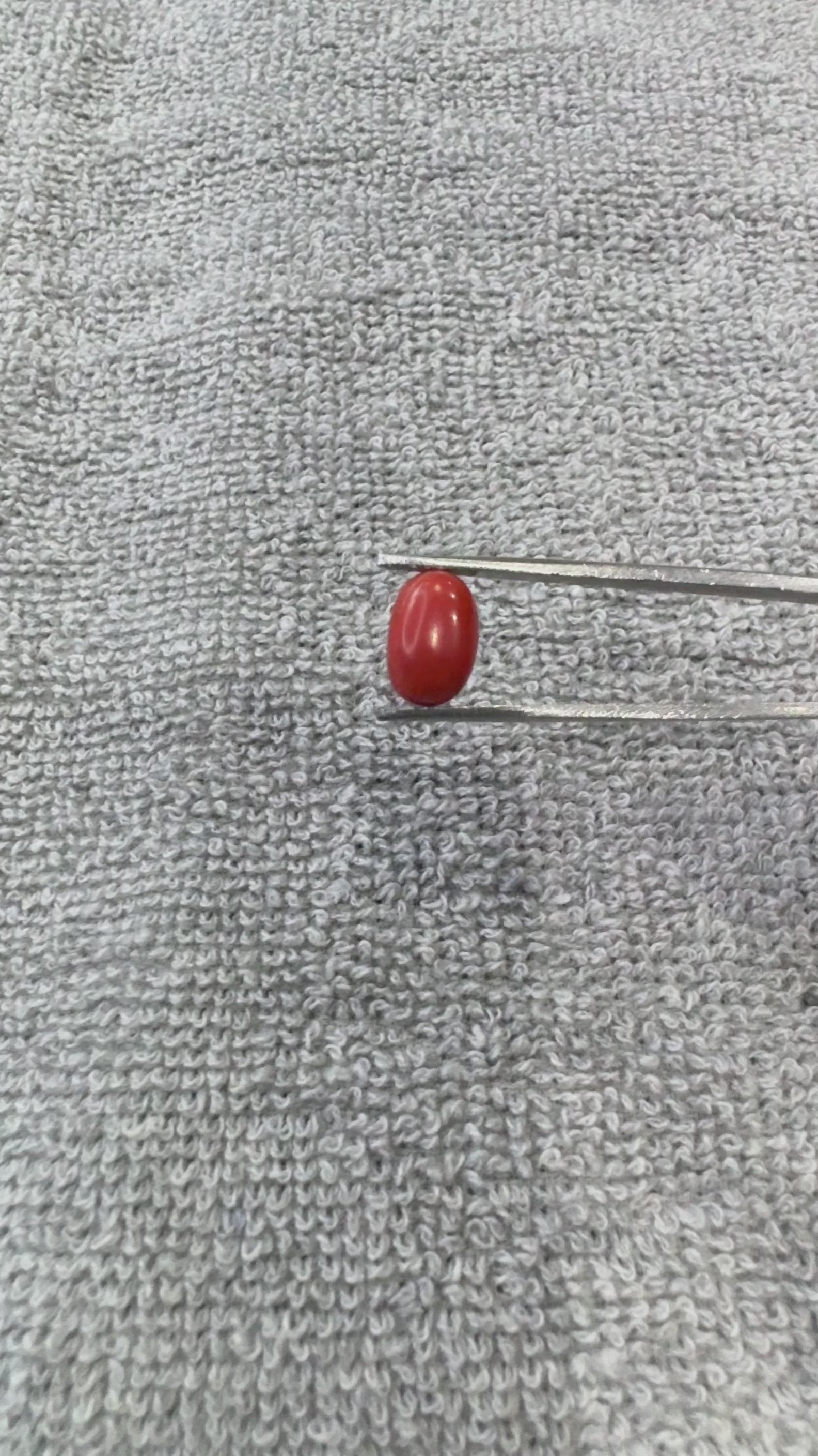 4.00 Carat Certified Natural Italian Coral